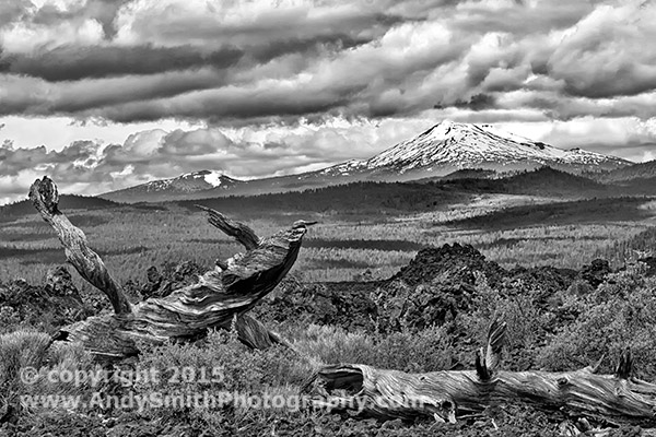 Mount Bachelor from the Lava Butte
